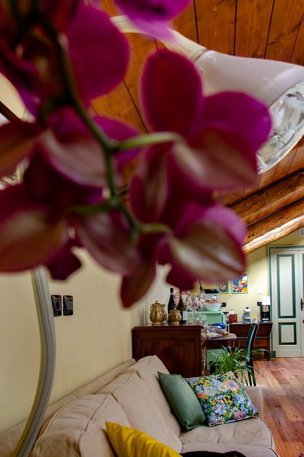 Bed and Breakfast Ca D'I. Magliano Alfieri Exterior foto