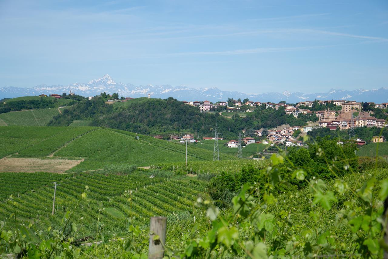 Bed and Breakfast Ca D'I. Magliano Alfieri Exterior foto